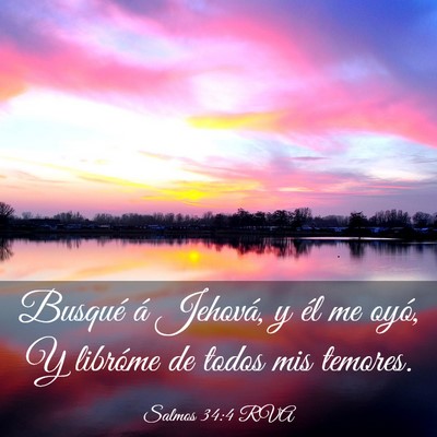 Picture 03 - Salmos 34:4 RVA - Busqué á Jehová, y él me oyó, Y libróme de - Bible Verse Picture