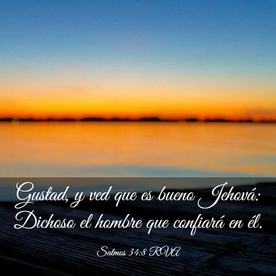 Picture 03 - Salmos 34:8 RVA - Gustad, y ved que es bueno Jehová: Dichoso el - Bible Verse Picture