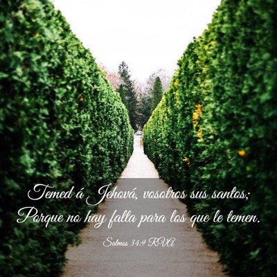 Picture 03 - Salmos 34:9 RVA - Temed á Jehová, vosotros sus santos; Porque no - Bible Verse Picture