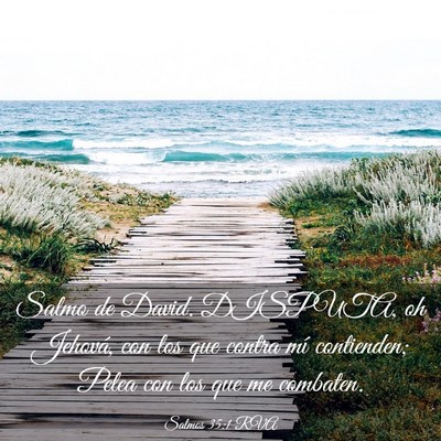 Picture 03 - Salmos 35:1 RVA - Salmo de David. DISPUTA, oh Jehová, con los que - Bible Verse Picture