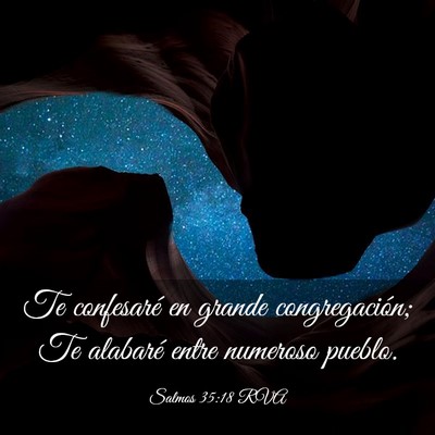 Picture 03 - Salmos 35:18 RVA - Te confesaré en grande congregación; Te - Bible Verse Picture