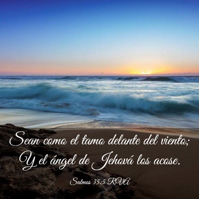 Picture 03 - Salmos 35:5 RVA - Sean como el tamo delante del viento; Y el ángel - Bible Verse Picture