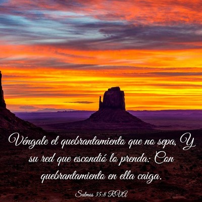Picture 03 - Salmos 35:8 RVA - Véngale el quebrantamiento que no sepa, Y su red - Bible Verse Picture