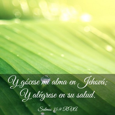 Picture 03 - Salmos 35:9 RVA - Y gócese mi alma en Jehová; Y alégrese en su - Bible Verse Picture
