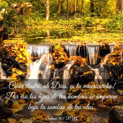Picture 03 - Salmos 36:7 RVA - Cuán ilustre, oh Dios, es tu misericordia! Por - Bible Verse Picture