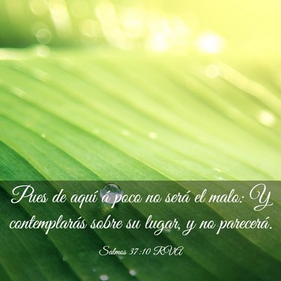 Picture 03 - Salmos 37:10 RVA - Pues de aquí á poco no será el malo: Y - Bible Verse Picture