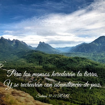 Picture 03 - Salmos 37:11 RVA - Pero los mansos heredarán la tierra, Y se - Bible Verse Picture
