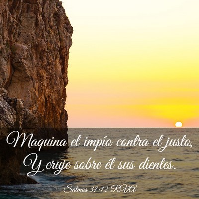 Picture 03 - Salmos 37:12 RVA - Maquina el impío contra el justo, Y cruje sobre - Bible Verse Picture