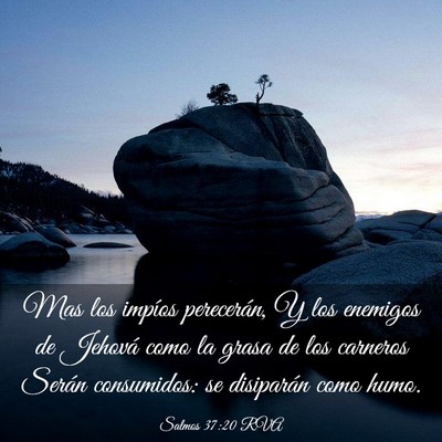 Picture 03 - Salmos 37:20 RVA - Mas los impíos perecerán, Y los enemigos de - Bible Verse Picture