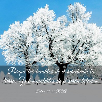 Picture 03 - Salmos 37:22 RVA - Porque los benditos de él heredarán la tierra; - Bible Verse Picture