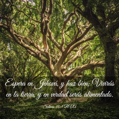 Picture 03 - Salmos 37:3 RVA - Espera en Jehová, y haz bien; Vivirás en la - Bible Verse Picture
