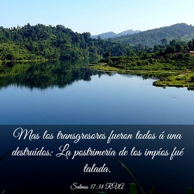 Picture 03 - Salmos 37:38 RVA - Mas los transgresores fueron todos á una - Bible Verse Picture