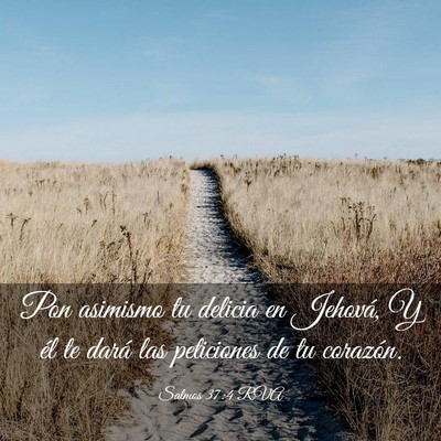Picture 03 - Salmos 37:4 RVA - Pon asimismo tu delicia en Jehová, Y él te - Bible Verse Picture