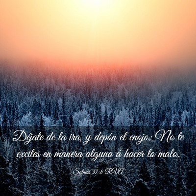 Picture 03 - Salmos 37:8 RVA - Déjate de la ira, y depón el enojo: No te - Bible Verse Picture