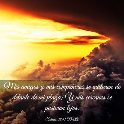 Picture 03 - Salmos 38:11 RVA - Mis amigos y mis compañeros se quitaron de - Bible Verse Picture