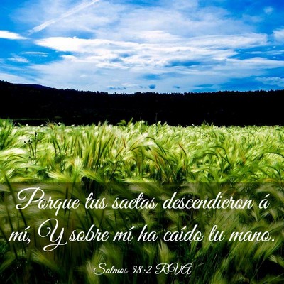 Picture 03 - Salmos 38:2 RVA - Porque tus saetas descendieron á mí, Y sobre - Bible Verse Picture