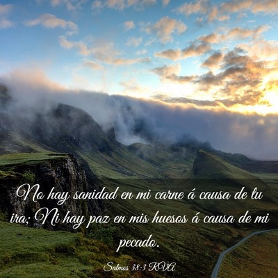 Picture 03 - Salmos 38:3 RVA - No hay sanidad en mi carne á causa de tu ira; Ni - Bible Verse Picture