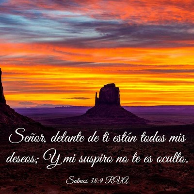 Picture 03 - Salmos 38:9 RVA - Señor, delante de ti están todos mis deseos; Y - Bible Verse Picture