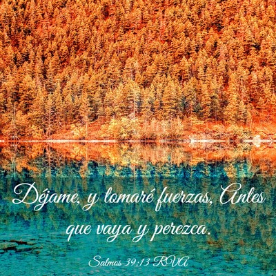 Picture 03 - Salmos 39:13 RVA - Déjame, y tomaré fuerzas, Antes que vaya y - Bible Verse Picture