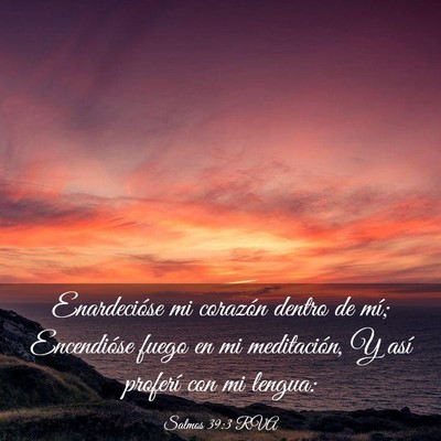 Picture 03 - Salmos 39:3 RVA - Enardecióse mi corazón dentro de mí; - Bible Verse Picture