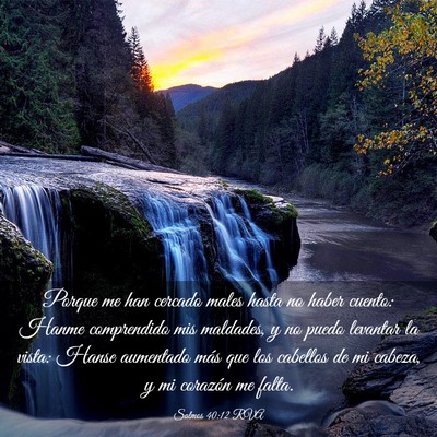 Picture 03 - Salmos 40:12 RVA - Porque me han cercado males hasta no haber - Bible Verse Picture