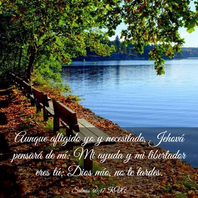 Picture 03 - Salmos 40:17 RVA - Aunque afligido yo y necesitado, Jehová pensará - Bible Verse Picture