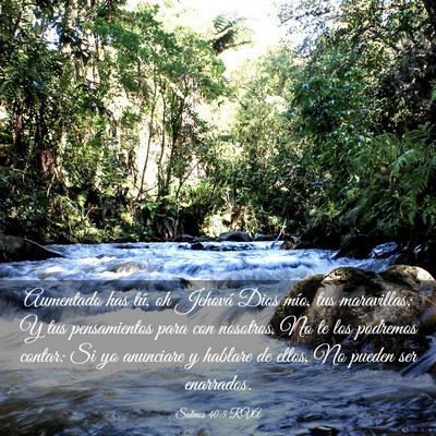 Picture 03 - Salmos 40:5 RVA - Aumentado has tú, oh Jehová Dios mío, tus - Bible Verse Picture