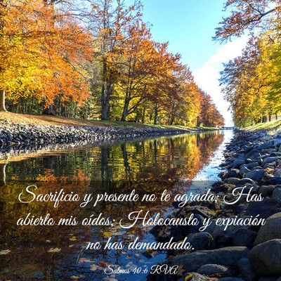 Picture 03 - Salmos 40:6 RVA - Sacrificio y presente no te agrada; Has abierto - Bible Verse Picture