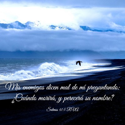 Picture 03 - Salmos 41:5 RVA - Mis enemigos dicen mal de mí preguntando: - Bible Verse Picture