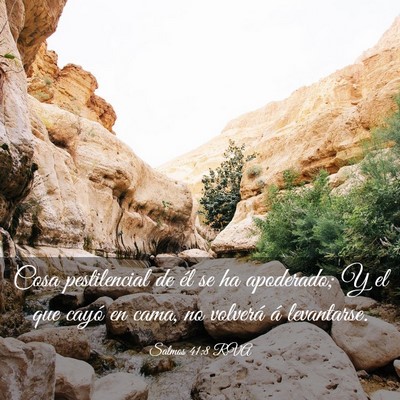 Picture 03 - Salmos 41:8 RVA - Cosa pestilencial de él se ha apoderado; Y el - Bible Verse Picture