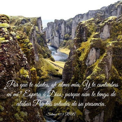Picture 03 - Salmos 42:5 RVA - ¿Por qué te abates, oh alma mía, Y te - Bible Verse Picture