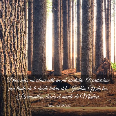 Picture 03 - Salmos 42:6 RVA - Dios mío, mi alma está en mí abatida: - Bible Verse Picture