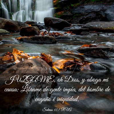 Picture 03 - Salmos 43:1 RVA - JUZGAME, oh Dios, y aboga mi causa: Líbrame de - Bible Verse Picture