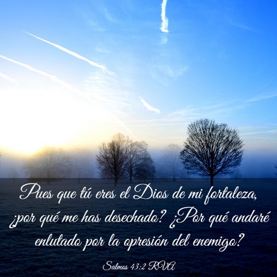 Picture 03 - Salmos 43:2 RVA - Pues que tú eres el Dios de mi fortaleza, ¿por - Bible Verse Picture