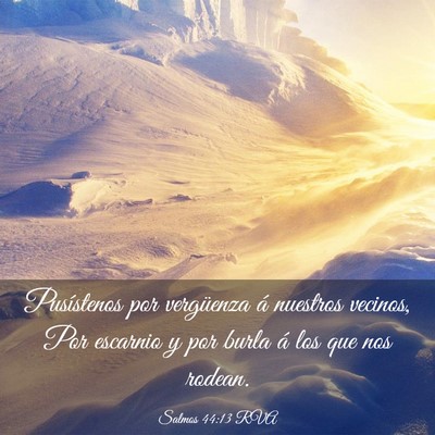 Picture 03 - Salmos 44:13 RVA - Pusístenos por vergüenza á nuestros vecinos, - Bible Verse Picture
