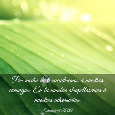 Picture 03 - Salmos 44:5 RVA - Por medio de ti sacudiremos á nuestros enemigos: - Bible Verse Picture