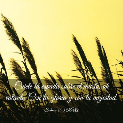 Picture 03 - Salmos 45:3 RVA - Cíñete tu espada sobre el muslo, oh valiente, - Bible Verse Picture