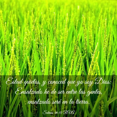Picture 03 - Salmos 46:10 RVA - Estad quietos, y conoced que yo soy Dios: - Bible Verse Picture