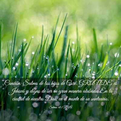 Picture 03 - Salmos 48:1 RVA - Canción: Salmo de los hijos de Coré. GRANDE es - Bible Verse Picture