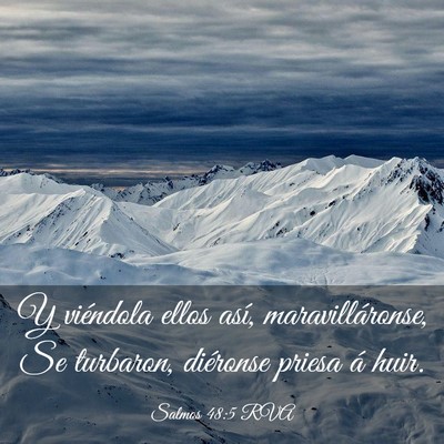 Picture 03 - Salmos 48:5 RVA - Y viéndola ellos así, maravilláronse, Se - Bible Verse Picture