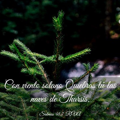 Picture 03 - Salmos 48:7 RVA - Con viento solano Quiebras tú las naves de - Bible Verse Picture