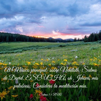 Picture 03 - Salmos 5:1 RVA - Al Músico principal: sobre Nehiloth: Salmo de - Bible Verse Picture