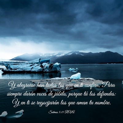 Picture 03 - Salmos 5:11 RVA - Y alegrarse han todos los que en ti confían; - Bible Verse Picture