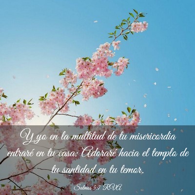 Picture 03 - Salmos 5:7 RVA - Y yo en la multitud de tu misericordia entraré - Bible Verse Picture