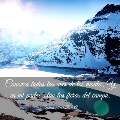 Picture 03 - Salmos 50:11 RVA - Conozco todas las aves de los montes, Y en mi - Bible Verse Picture