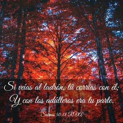 Picture 03 - Salmos 50:18 RVA - Si veías al ladrón, tú corrías con él; Y con - Bible Verse Picture
