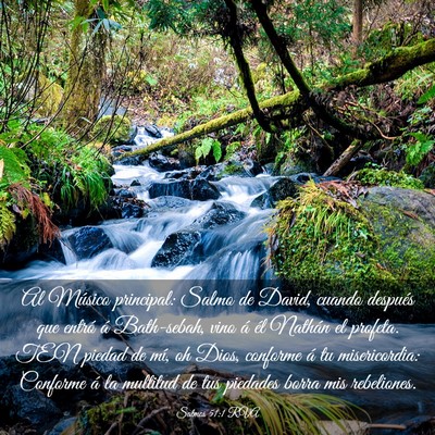 Picture 03 - Salmos 51:1 RVA - Al Músico principal: Salmo de David, cuando - Bible Verse Picture