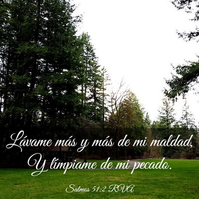 Picture 03 - Salmos 51:2 RVA - Lávame más y más de mi maldad, Y límpiame de - Bible Verse Picture