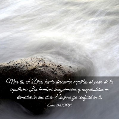 Picture 03 - Salmos 55:23 RVA - Mas tú, oh Dios, harás descender aquéllos al - Bible Verse Picture