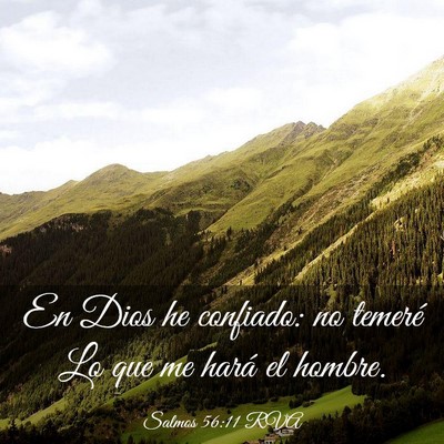 Picture 03 - Salmos 56:11 RVA - En Dios he confiado: no temeré Lo que me hará - Bible Verse Picture